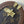 LV Speedy Trunk Handbag 21cm Brown in PVC Fabric with Leather 287737