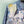 CD 26 Printed Shirt Blue in Polyester