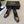 CC 26ss Logo Square-Toe Pumps Dark Brown Lambskin 835684