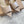 GR Pointed-Toe Mule Sandals 8.5cm Beige Patent Cowhide 851873
