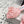 JC 26SS Floral Appliqué Mules 6.5cm Pink Lace 858428