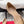 FG Gyoia Bow Pointed Toe Pumps 3.5cm Beige Patent Leather 848409