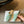 CD Baby Bow Mules Gold Bow Mint Green Suede 858671