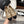 CC 25SS Mary Jane Quilted Begie Black Lambskin Leather 862428