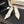 CC Bow Pointed Toe Pumps 6.5cm Cream Leather 912935