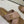 CC Chain Crossover Flat Sandals Pink Leather 928598