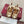 GG Shift Ballerina Flats Beige Jacquard Canvas & Gold Leather 929234