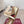 GG Shift Ballerina Flats Beige Jacquard Canvas & Gold Leather 929234