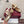 GG Shift Ballerina Flats Beige Jacquard Canvas & Gold Leather 929234