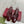 GG Double G Slingback Pumps 3.5cm Burgundy Patent Leather 929218