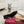 GG Double G Slingback Pumps 3.5cm Beige Patent Leather 929217