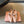 Miu Pointed Toe Bow Mary Jane Flats Pink Suede 933433