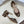 CD Oblique Bow Pearl Ankle Strap Pumps 3.5CM Brown Embroidered Cotton 933315