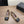 CC Square-Toe Ballet Flats Beige Black Lambskin 961516