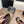 CC Square-Toe Ballet Flats Beige Black Lambskin 961516