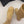 CC Mid-Calf Boots 4CM Gold Chain Charm Camel Knit Suede 961504