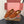LP Summer Charms Walk Loafers Brown Suede 984724