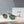 CE Sunglasses 164630