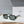 CE Sunglasses 164625
