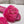 LV Flat Mule Sandals Dark Pink Fur Gold LV Medallion 997719