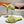 LV Flat Mule Sandals Lime Yellow Fur Gold LV Medallion 997716