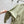 LV Snap Front Jacket Pale Olive Green 422093