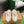 LV Sneakerina Ballerina Flats Cream Mesh Suede 999359