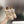 LV Sneakerina Sneaker Beige Mesh Suede 999356