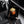 CC 26M Acorn Minaudière 17cm Wood & Crystal-Embellished Metal