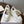 CHLOE 26SS Platform Sneakers Casual Shoes Cowhide 152700