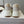 CHLOE 26SS Platform Sneakers Casual Shoes Cowhide 152700