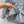 CC 26S Button-Down Shirt Frayed Logo Patch Pockets Cotton 436537