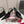 DG Double-Bow Slingback Pumps 10cm Leather 179863