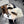 HM 26FW Trapper Hat Earflaps Quilted 453740
