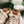 LW 26FW Fluffy High-Top Sneakers Color-Block Shearling 172064