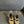 YSL 26S Cross-Strap Sandals 150 Mm Calfskin