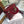 medium lady 24 wine patent calfskin