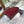 medium lady 24 wine patent calfskin