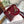 medium lady 24 wine patent calfskin