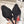 CL Pigalle Follies Pumps 100mm Crystal-embellished Black