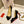 CL Simplenodo Bow Pumps 85mm Patent Leather Black