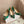 Hangisi Green Satin Crystal Embellished Pumps 700532