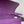 CONSTANCE TO GO 20.5 PURPLE EPSOM GOLD HARDWARE