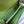 CONSTANCE TO GO 20.5 GREEN EPSOM GOLD HARDWARE