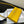 kelly to go wallet 20.5 yellow epsom gold hardware