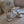 Jimmy 25 Josefine 100mm Sandals White Calfskin 240071