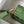 Mini Evelyne 18cm Dark Green Togo Ghw