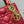 micro lady 12 red lambskin