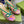 GG HIGH HEEL SANDAL HOT PINK AND JADE GREEN LAMBSKIN
