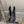 CC Block Heel Ankle Boots 60mm Black Patent Leather Sheeepskin 464554